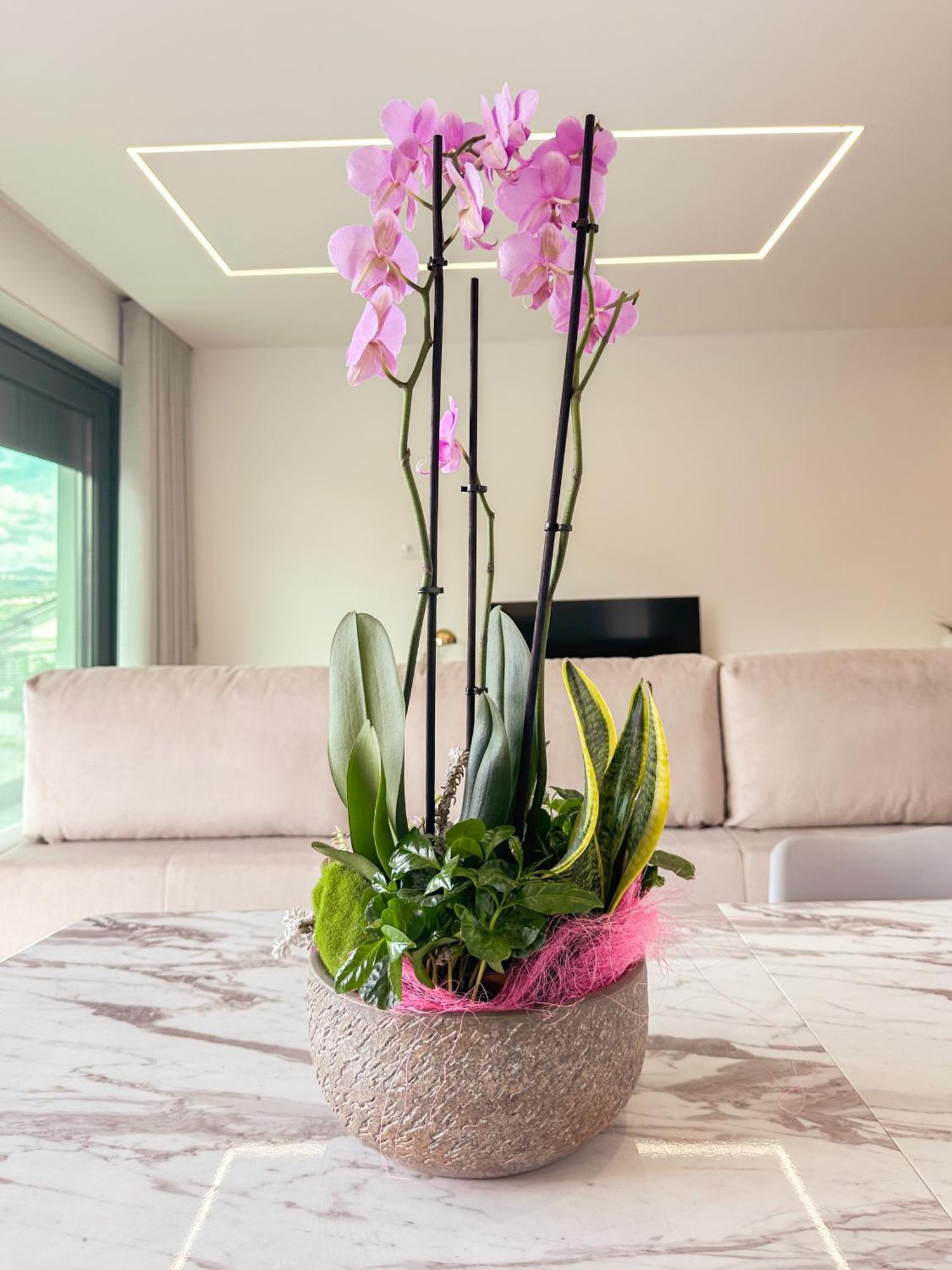 Flora Guest House Marco de Canavezes Zewnętrze zdjęcie